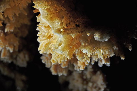 Jenolan Caves: Ribbon Cave Tour - Food Delivery Shop 1