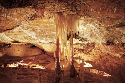 Jenolan Caves: Ribbon Cave Tour - Food Delivery Shop 0