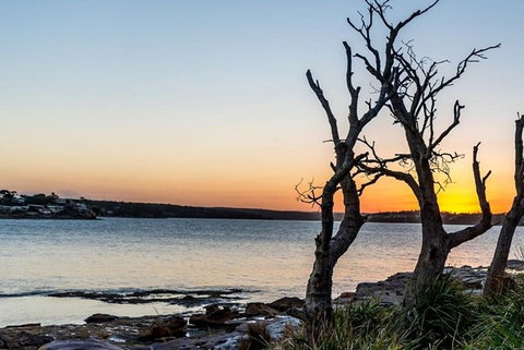 Full-Day Kiama Coast And The Royal National Park Guided Tour - Food Delivery Shop 0