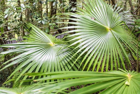 Full-Day Kiama Coast And The Royal National Park Guided Tour - Food Delivery Shop 4