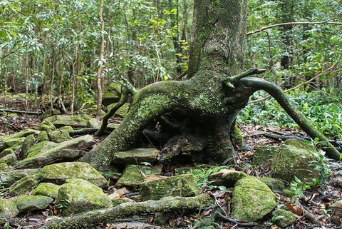 Full-Day Kiama Coast And The Royal National Park Guided Tour - Food Delivery Shop 1