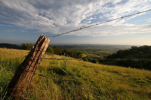 Private Full-Day Wine Tour In Hunter Valley - Food Delivery Shop 3