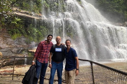 Blue Mountains Highlights & Wildlife Park - Food Delivery Shop 4