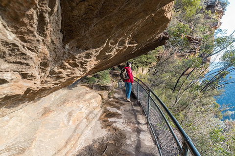Blue Mountains Highlights & Wildlife Park - Food Delivery Shop 0