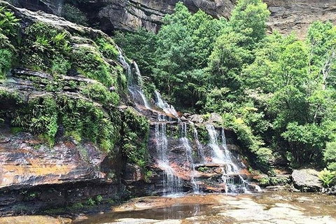 Blue Mountains Highlights & Wildlife Park - Food Delivery Shop 8