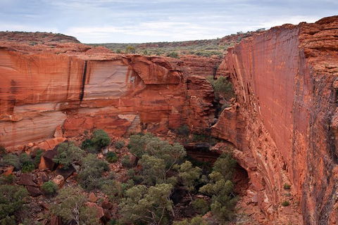 Uluru, Kata Tjuta And Kings Canyon Camping Safari From Alice Springs - Food Delivery Shop 4