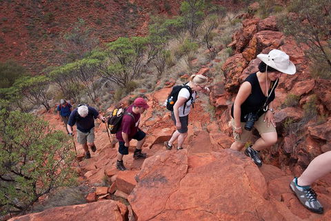 Uluru, Kata Tjuta And Kings Canyon Camping Safari From Alice Springs - Food Delivery Shop 3