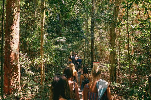 Atherton Tablelands Waterfalls And Rainforest Day Tour Departing Cairns - Food Delivery Shop 10