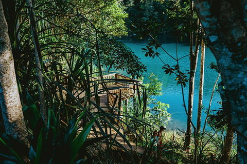 Atherton Tablelands Waterfalls And Rainforest Day Tour Departing Cairns - Food Delivery Shop 5