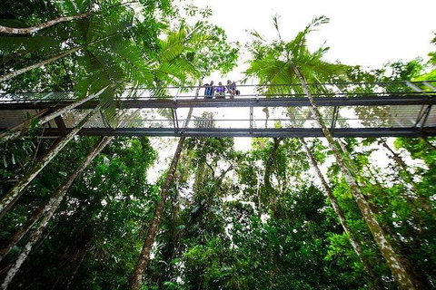 Daintree Discovery Centre Family Pass Ticket - Food Delivery Shop 3