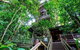 Daintree Discovery Centre Family Pass Ticket - thumb 4