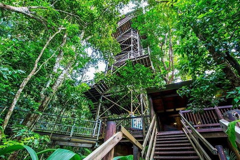 Daintree Discovery Centre Family Pass Ticket - Food Delivery Shop 4