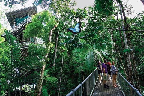 Daintree Discovery Centre Family Pass Ticket - Food Delivery Shop 2