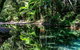 Daintree And Cape Tribulation Full Day Guided Tour - thumb 8