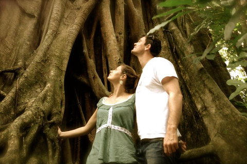Daintree And Cape Tribulation Full Day Guided Tour - Food Delivery Shop 0