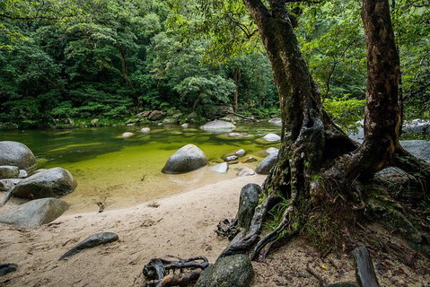 Daintree And Cape Tribulation Full Day Guided Tour - Food Delivery Shop 5
