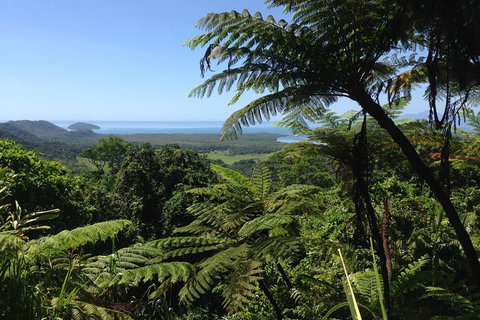 Daintree And Cape Tribulation Full Day Guided Tour - Food Delivery Shop 1