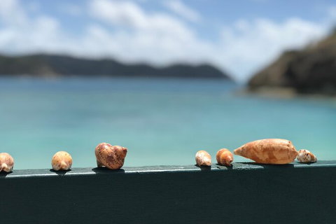 7-Day Private Sea Kayaking In Whitsundays - Food Delivery Shop 1