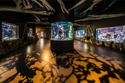 Cairns Aquarium Tour By Twilight With Drink And Appetiser - Food Delivery Shop 4