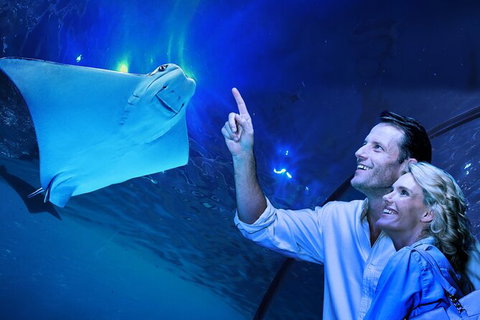 Cairns Aquarium Tour By Twilight With Drink And Appetiser - Food Delivery Shop 0