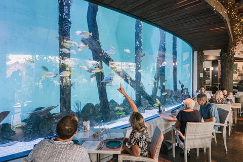 Cairns Aquarium Tour By Twilight With Drink And Appetiser - Food Delivery Shop 1