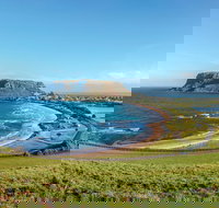 Cruise Ship Special from Burnie to Stanley and The Nut - Pet Food Australia