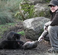 After Dark Tasmanian Devil Feeding Tour at Cradle Mountain - Food Delivery Shop