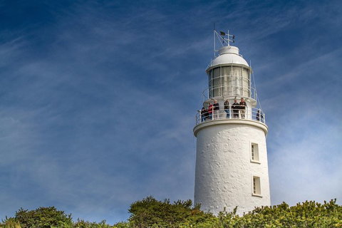 Fully Guided Bruny Island Lighthouse Tour - Food Delivery Shop 7