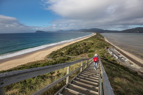 Fully Guided Bruny Island Lighthouse Tour - Food Delivery Shop 2