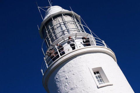 Fully Guided Bruny Island Lighthouse Tour - Food Delivery Shop 1