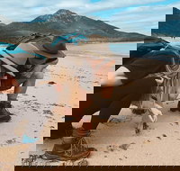 Freycinet Walking Tour - Food Delivery Shop