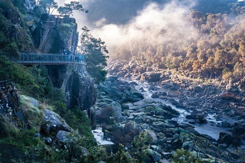 3.5 Hours Walking Tour To Cataract Gorge With Local Guide - Food Delivery Shop 0