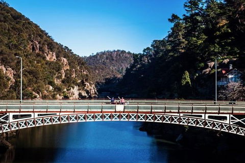 3.5 Hours Walking Tour To Cataract Gorge With Local Guide - Food Delivery Shop 5