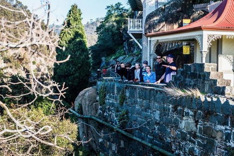 3.5 Hours Walking Tour To Cataract Gorge With Local Guide - Food Delivery Shop 3