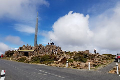 Mt. Wellington Morning Hike + Afternoon Beer & History Walk - Food Delivery Shop 21