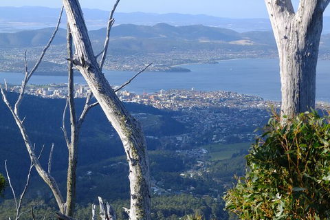 Mt. Wellington Morning Hike + Afternoon Beer & History Walk - Food Delivery Shop 10