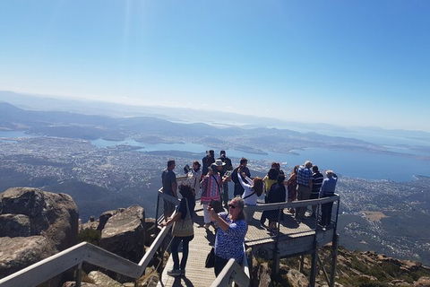 Mt. Wellington Morning Hike + Afternoon Beer & History Walk - Food Delivery Shop 2