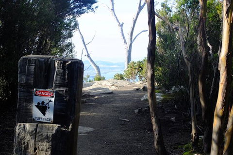Mt. Wellington Morning Hike + Afternoon Beer & History Walk - Food Delivery Shop 14