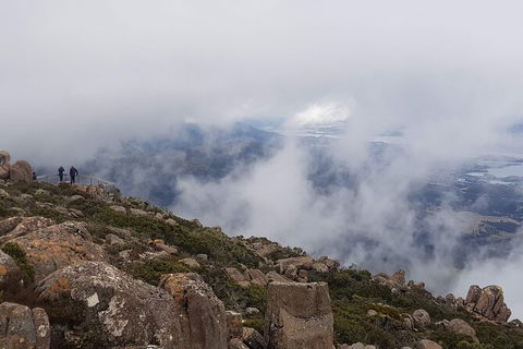 Mt. Wellington Morning Hike + Afternoon Beer & History Walk - Food Delivery Shop 18