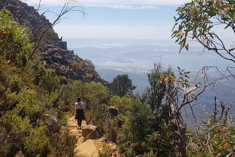 Mt. Wellington Morning Hike + Afternoon Beer & History Walk - Food Delivery Shop 1