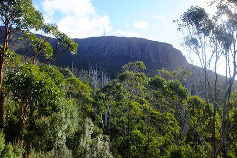 Mt. Wellington Morning Hike + Afternoon Beer & History Walk - Food Delivery Shop 4