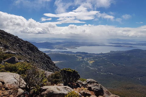 Mt. Wellington Morning Hike + Afternoon Beer & History Walk - Food Delivery Shop 5