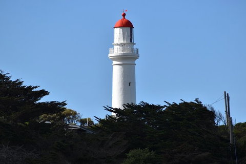 Great Ocean Road Tour Plus Koalas, Forest Walk And Morning Tea. - Food Delivery Shop 1