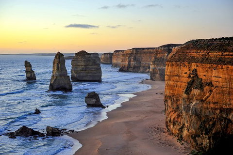 Great Ocean Road Tour Plus Koalas, Forest Walk And Morning Tea. - Food Delivery Shop 0