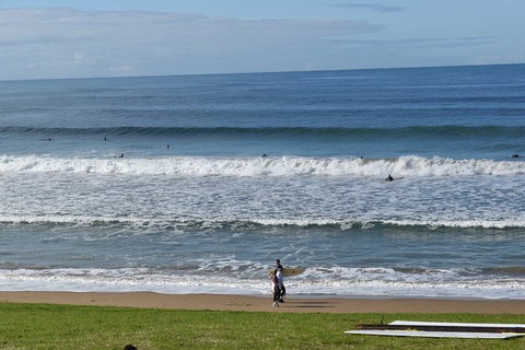 Great Ocean Road Tour Plus Koalas, Forest Walk And Morning Tea. - Food Delivery Shop 9
