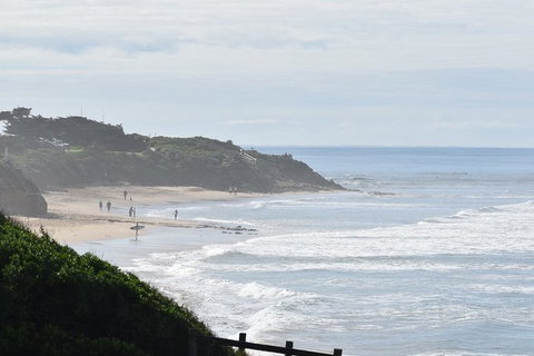 Great Ocean Road Tour Plus Koalas, Forest Walk And Morning Tea. - Food Delivery Shop 10
