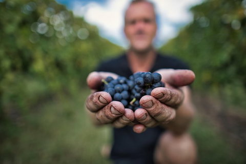 Feathertop Winery: Behind The Wines And Vines - Food Delivery Shop 0