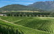 Feathertop Winery: Behind The Wines And Vines - thumb 2