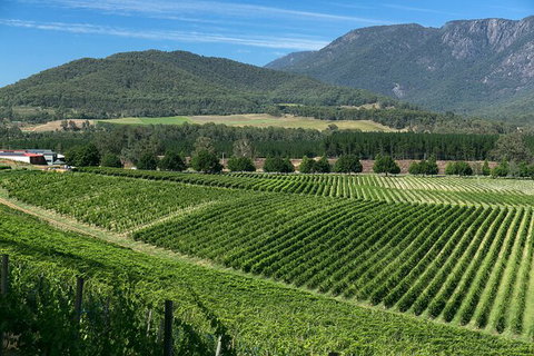 Feathertop Winery: Behind The Wines And Vines - Food Delivery Shop 2