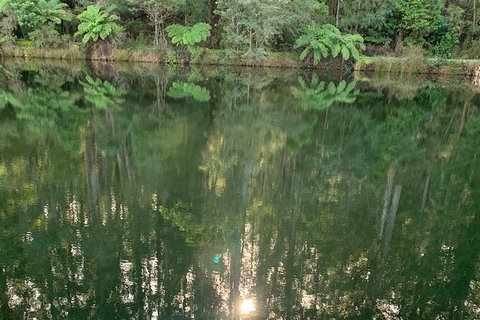 Hiking Tour To Aqueduct And Warburton Valley Lookout - Pet Food Australia 2